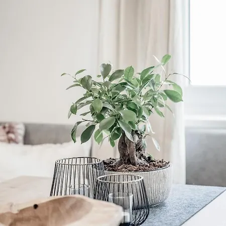 Lounge 아파트